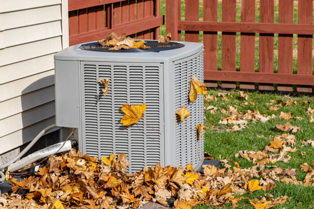 Best HVAC tune-up services  in Orleans, IN